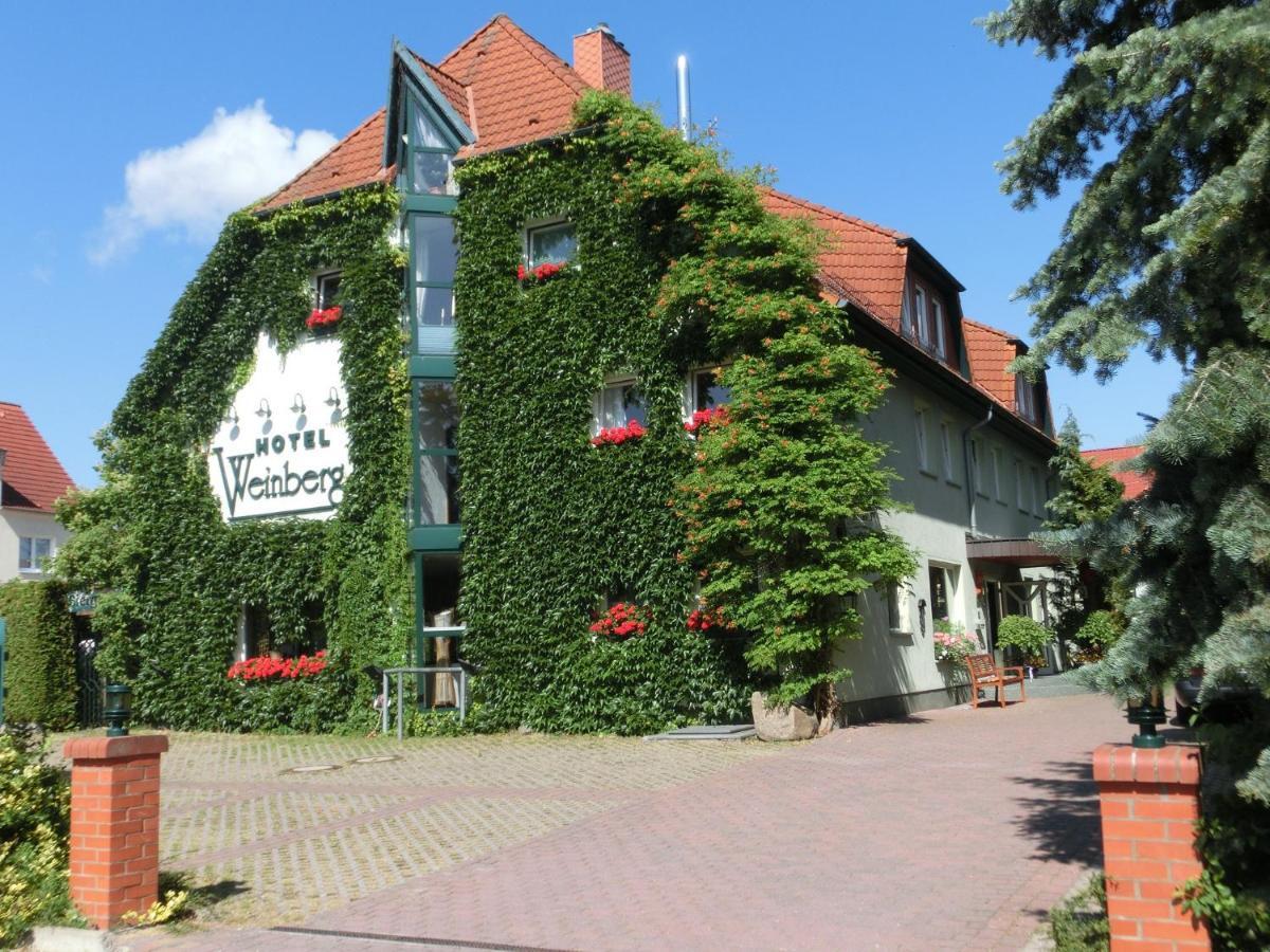Pension Weinberg Güstrow Extérieur photo